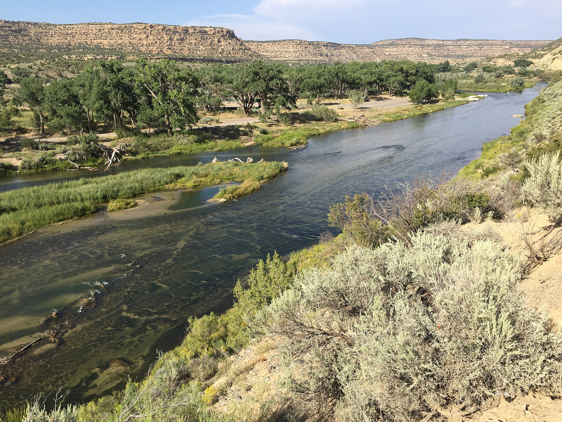 The San Juan River below Navajo Dam in New Mexico, upstream of the Vereda del Rio launch.