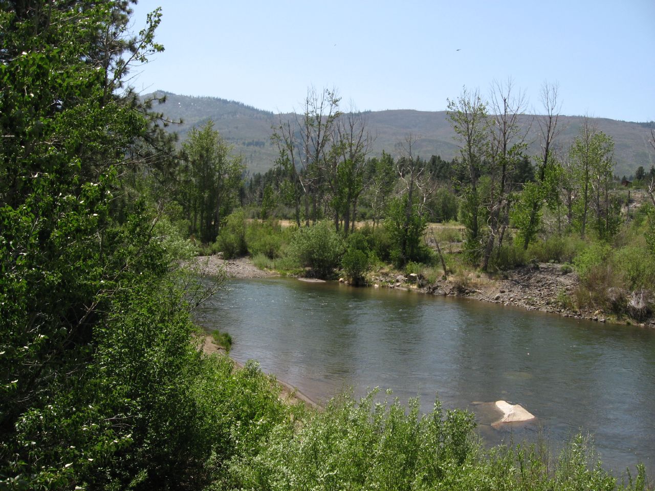 The Truckee River near Crystal Peak Park at the Verdi end of the Floriston-to-Verdi route.