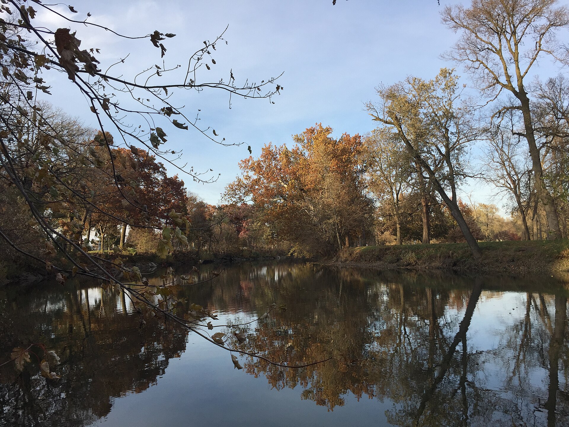 A wooded Illinois riverbank with calm moving water.